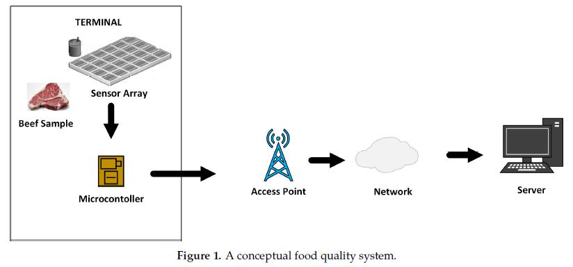 可容忍传感器故障等因素的机器学习模型用于食品质量预测