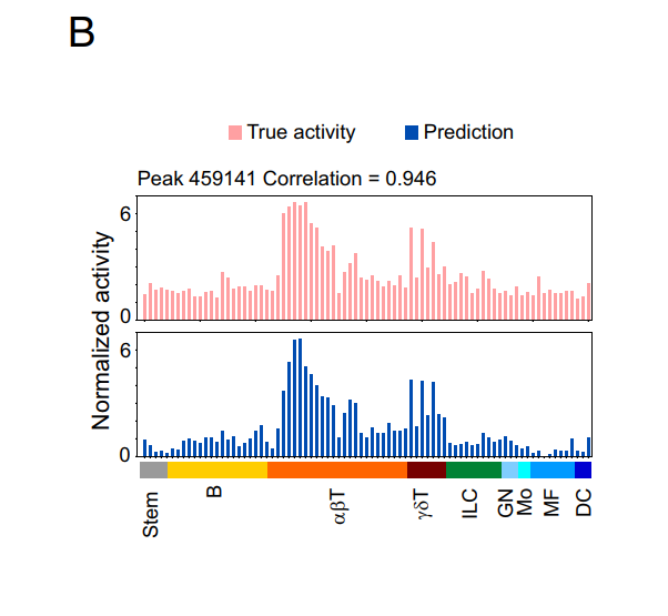 PNAS | 基因调控之深度学习揭示免疫细胞分化的调节机制