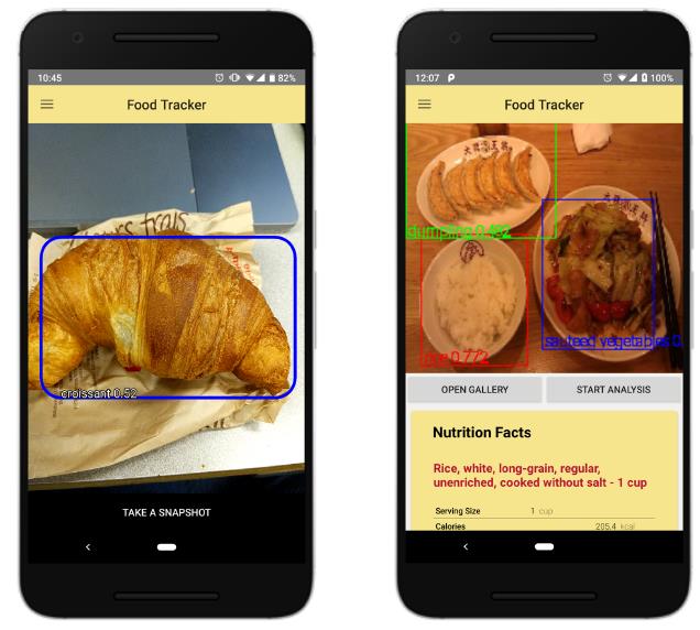 FoodTracker：一种由AI驱动的食品检测移动应用程序